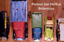 hortus-botanicus-amsterdam