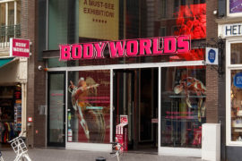 Body worlds Amsterdam